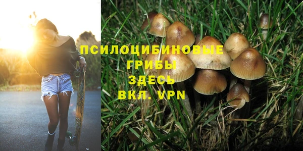 гидропоника Абаза