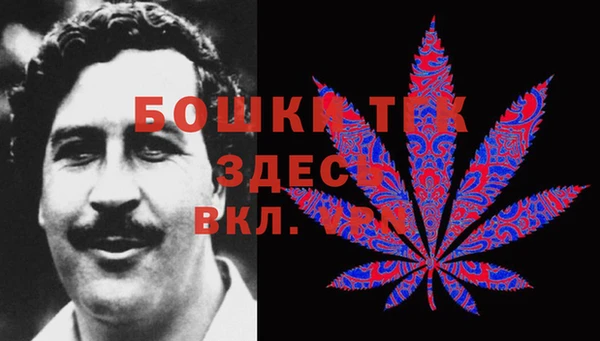 гидропоника Абаза
