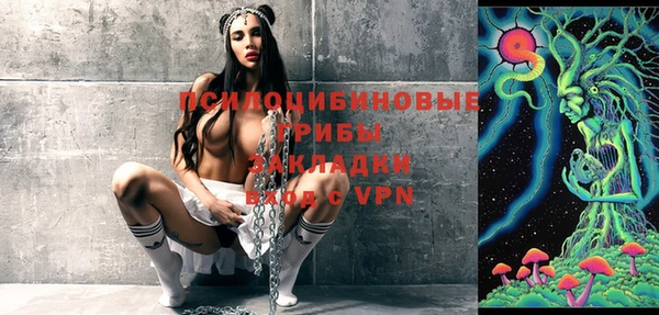 гидропоника Абаза